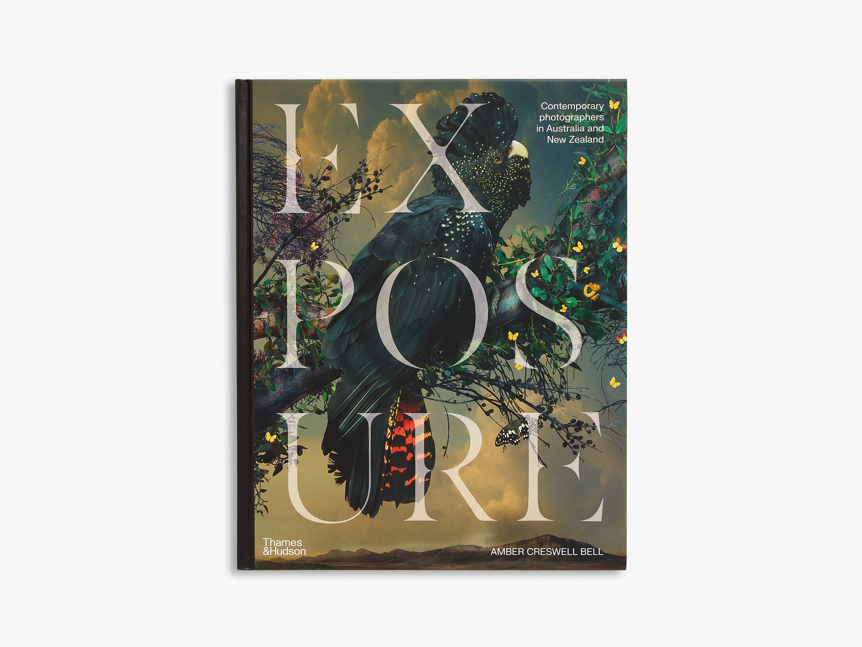 Photography History & Themes